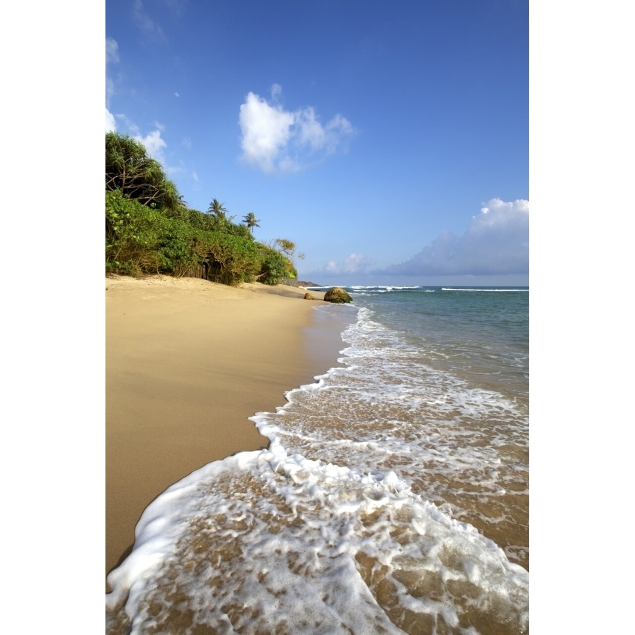 Golden Sand Beach Fringed By Palm Trees Poster Print By Chris Caldicott / Design Pics